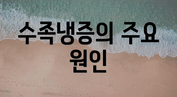 수족냉증의 주요 원인