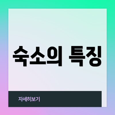 숙소의 특징