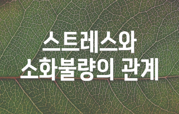 스트레스와 소화불량의 관계