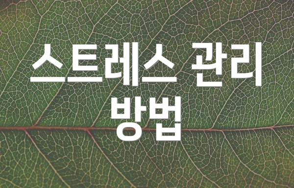 스트레스 관리 방법