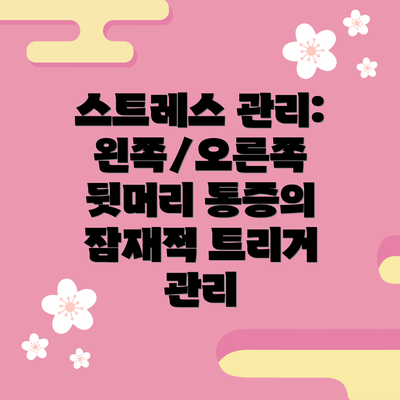 스트레스 관리: 왼쪽/오른쪽 뒷머리 통증의 잠재적 트리거 관리