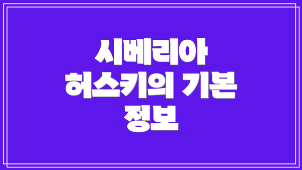 시베리아 허스키의 기본 정보