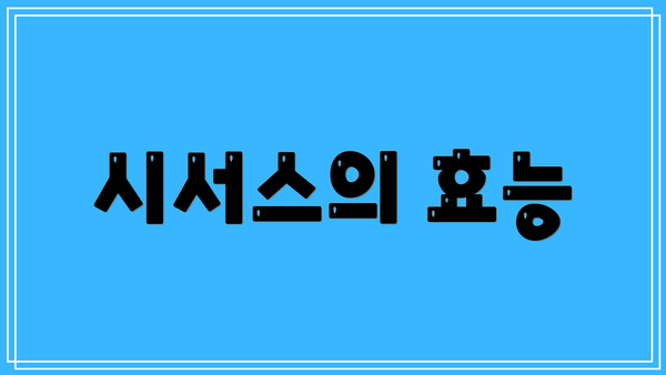 시서스의 효능