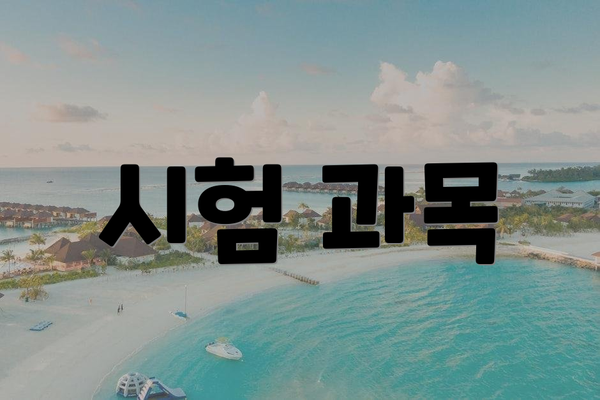 시험 과목