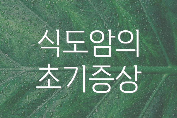 식도암의 초기증상
