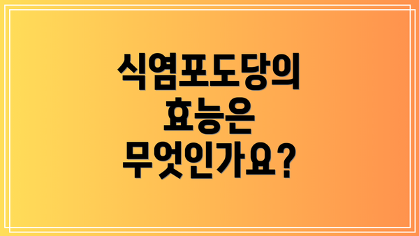 식염포도당의 효능은 무엇인가요?
