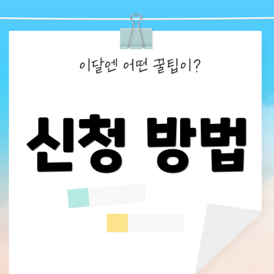 신청 방법