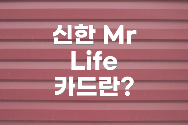 신한 Mr Life 카드란?
