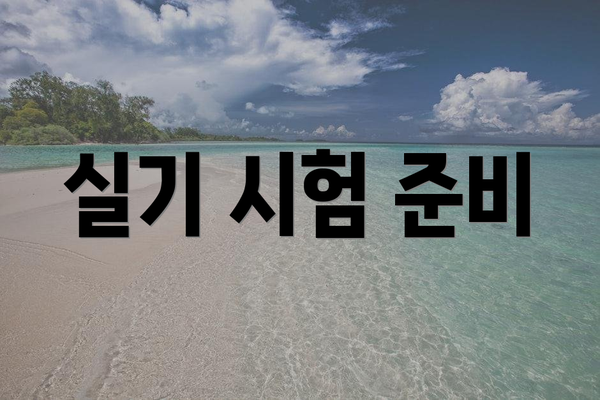 실기 시험 준비
