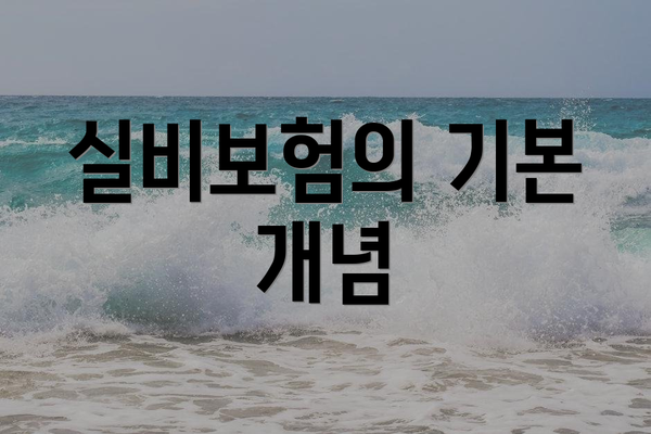 실비보험의 기본 개념