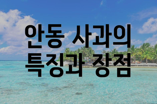 안동 사과의 특징과 장점