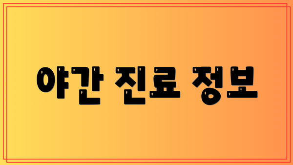 야간 진료 정보