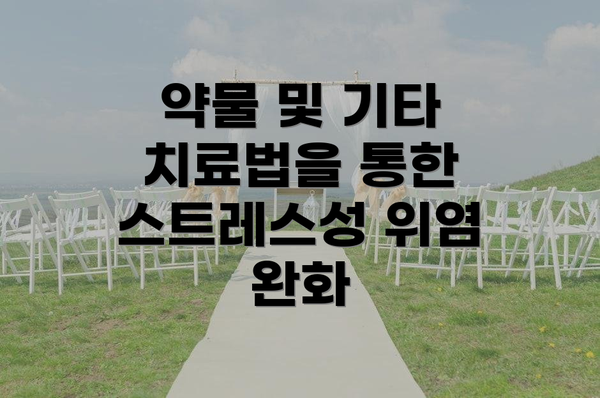 약물 및 기타 치료법을 통한 스트레스성 위염 완화