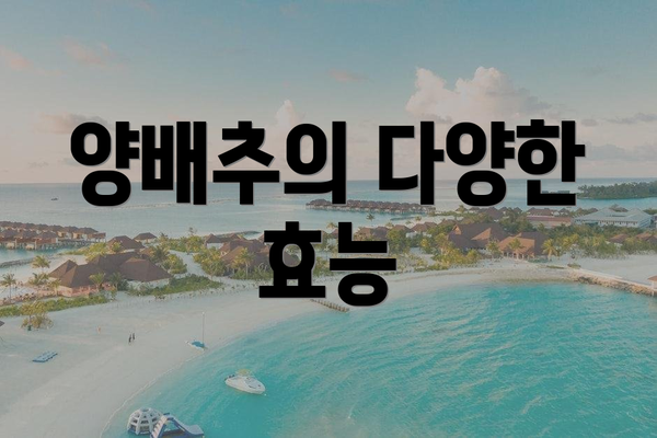 양배추의 다양한 효능