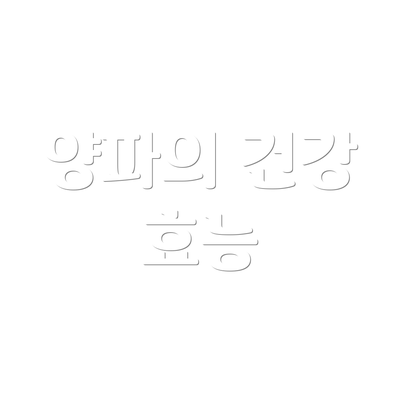 양파의 건강 효능