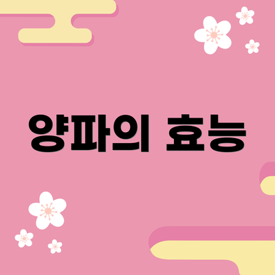 양파의 효능