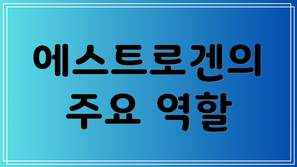 에스트로겐의 주요 역할