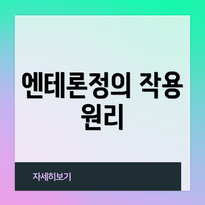 엔테론정의 작용 원리