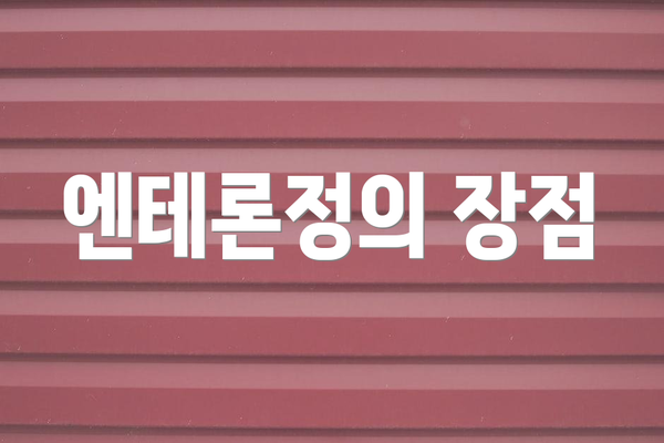 엔테론정의 장점