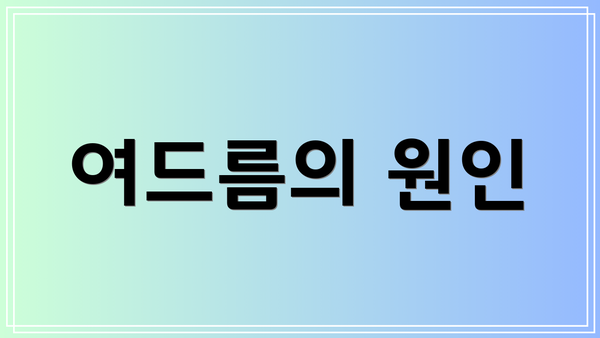 여드름의 원인