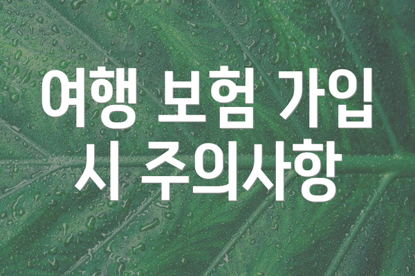 여행 보험 가입 시 주의사항