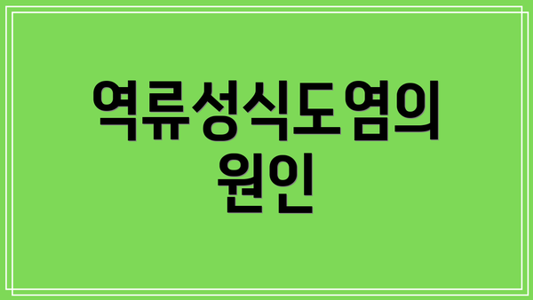 역류성식도염의 원인