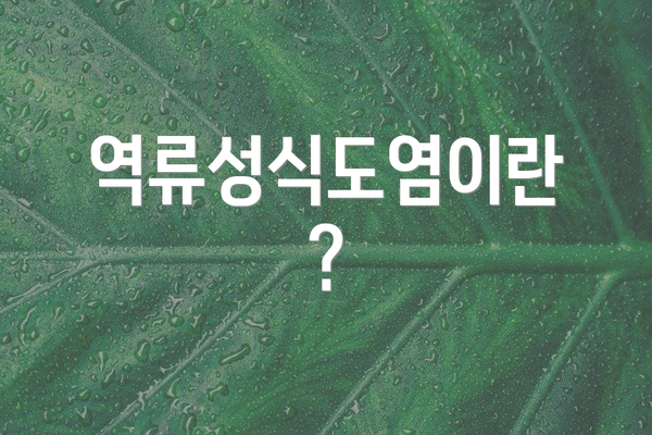 역류성식도염이란?