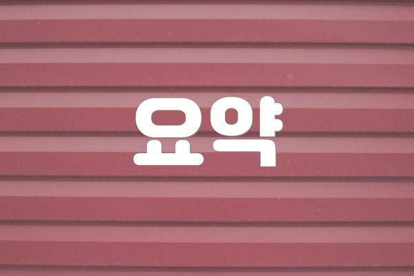 요약