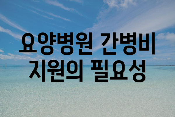 요양병원 간병비 지원의 필요성