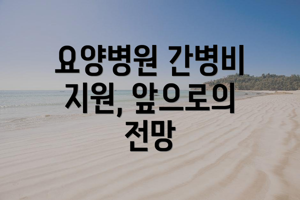 요양병원 간병비 지원, 앞으로의 전망
