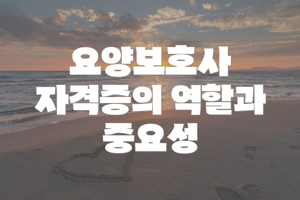 요양보호사 자격증의 역할과 중요성