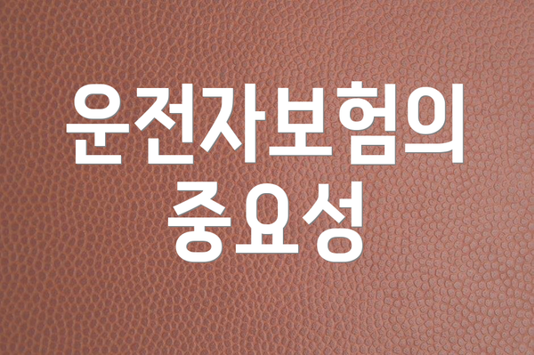 운전자보험의 중요성