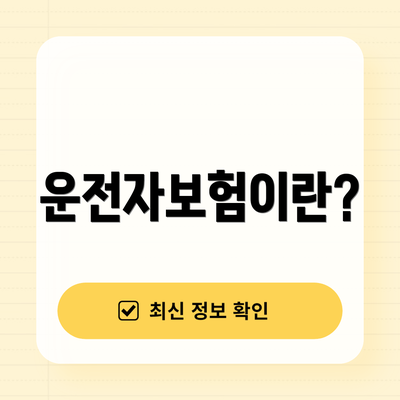 운전자보험이란?