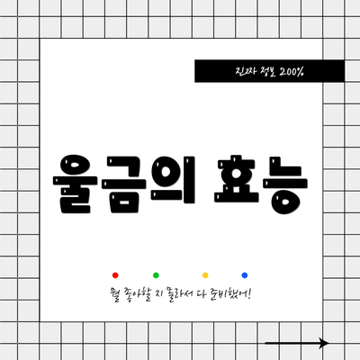 울금의 효능