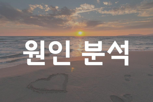 원인 분석