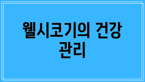 웰시코기의 건강 관리