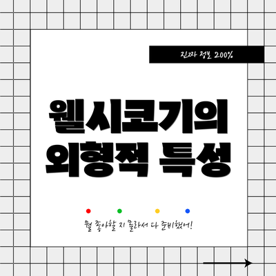 웰시코기의 외형적 특성