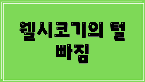 웰시코기의 털 빠짐
