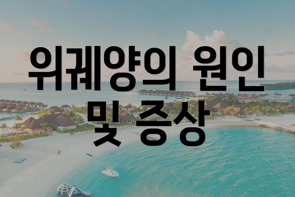 위궤양의 원인 및 증상