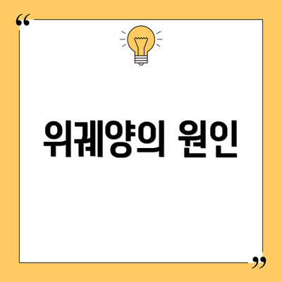 위궤양의 원인