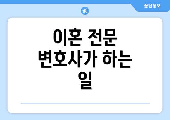 이혼 전문 변호사가 하는 일