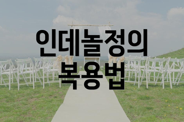 인데놀정의 복용법
