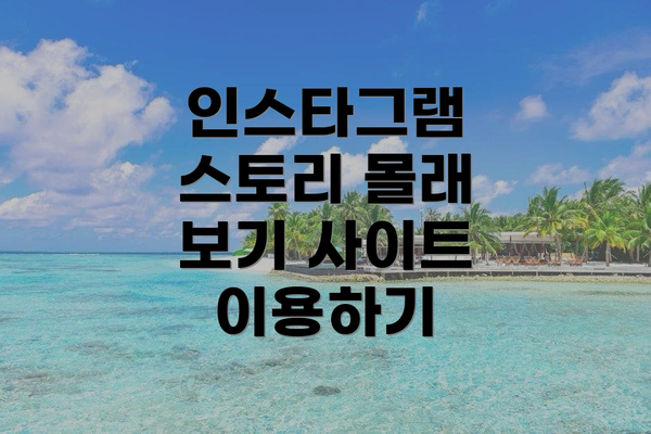 인스타그램 스토리 몰래 보기 사이트 이용하기