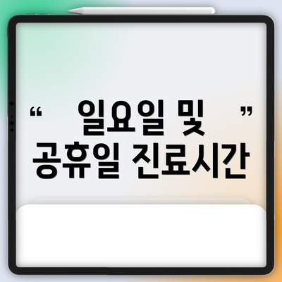 일요일 및 공휴일 진료시간