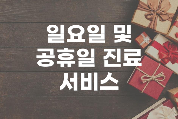 일요일 및 공휴일 진료 서비스