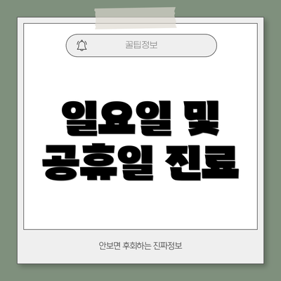 일요일 및 공휴일 진료