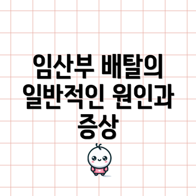 임산부 배탈의 일반적인 원인과 증상