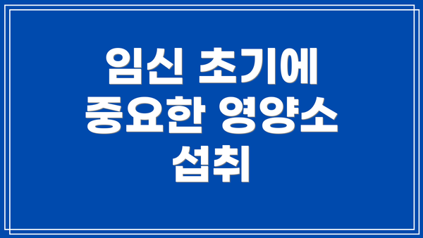 임신 초기에 중요한 영양소 섭취