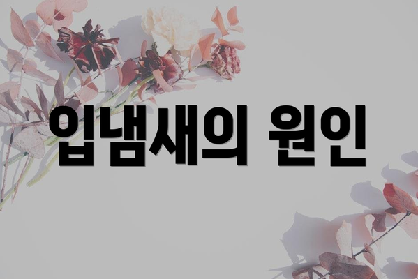 입냄새의 원인