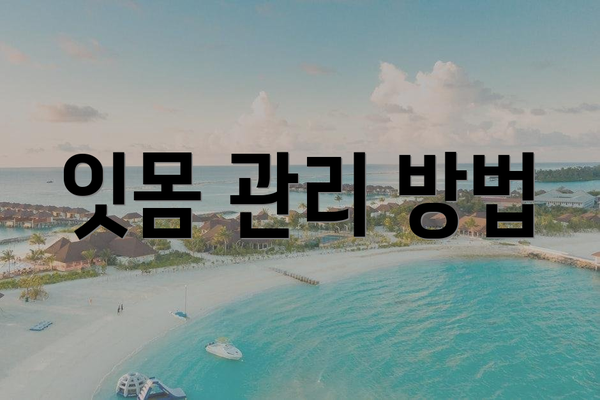 잇몸 관리 방법